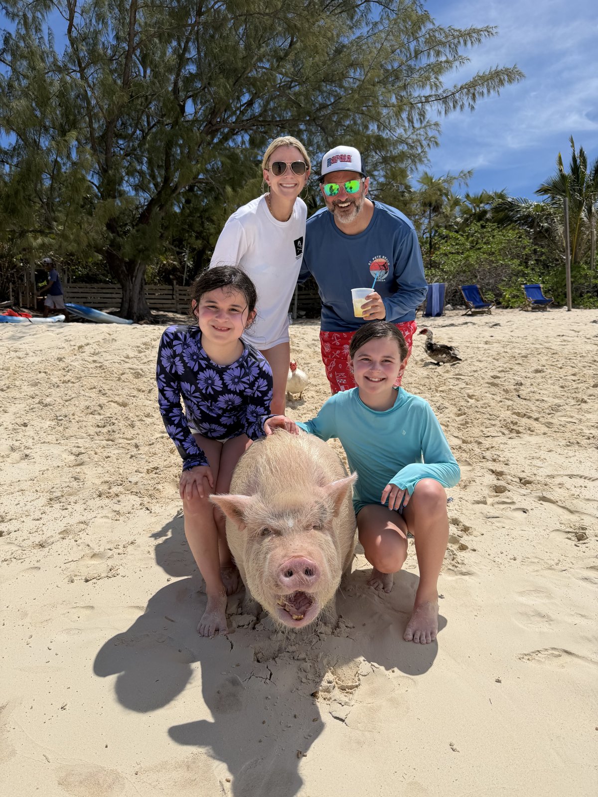 The family on a Bahamas beach with one of the famous swimming pigs